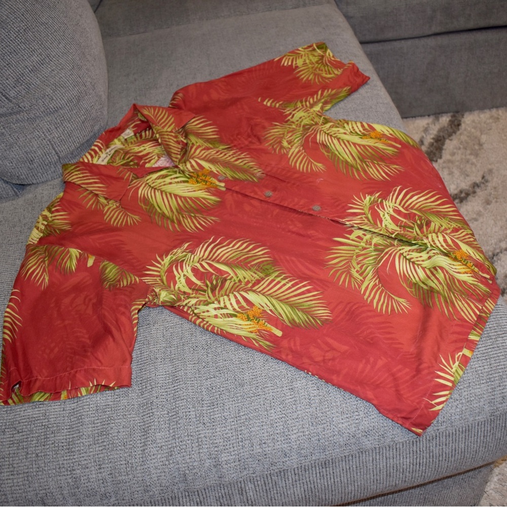 TB button down - Picture 2 of 9